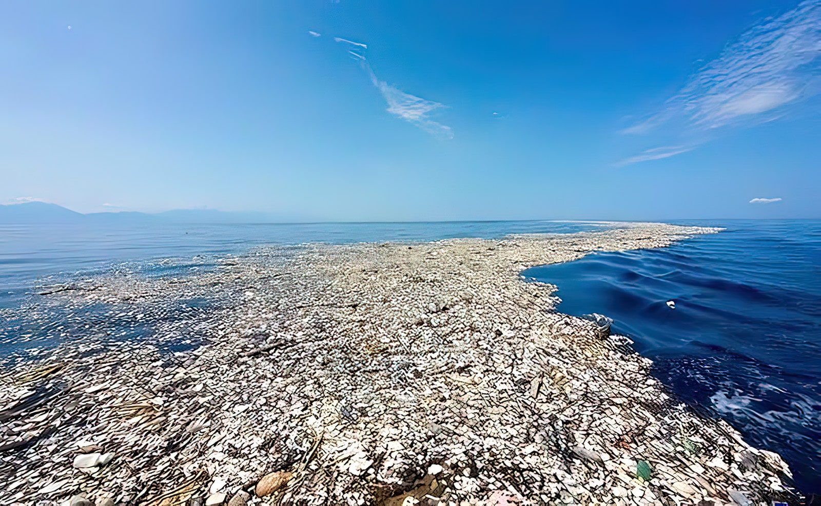 The Chilling Truth Why We Must Act Now About Microplastics by Tracey Chaykin