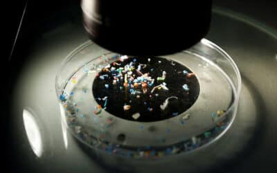 The Chilling Truth Why We Must Act Now About Microplastics by Tracey Chaykin